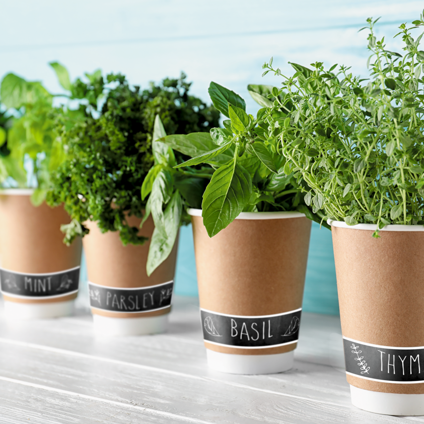 Product Image05