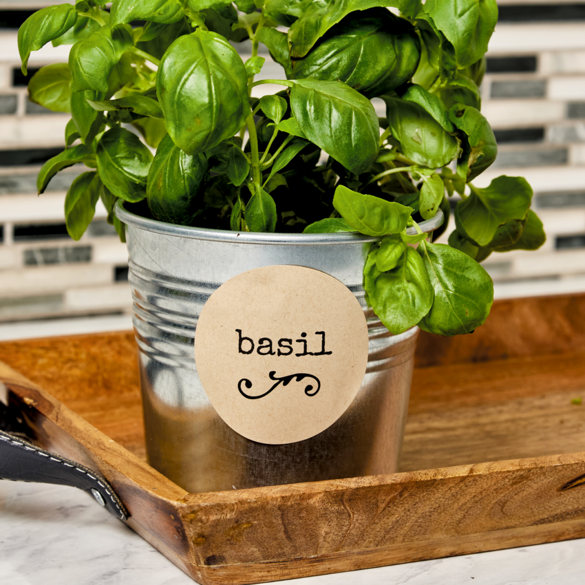 Product Image06