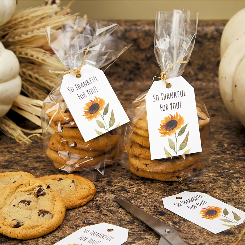 Product Image02